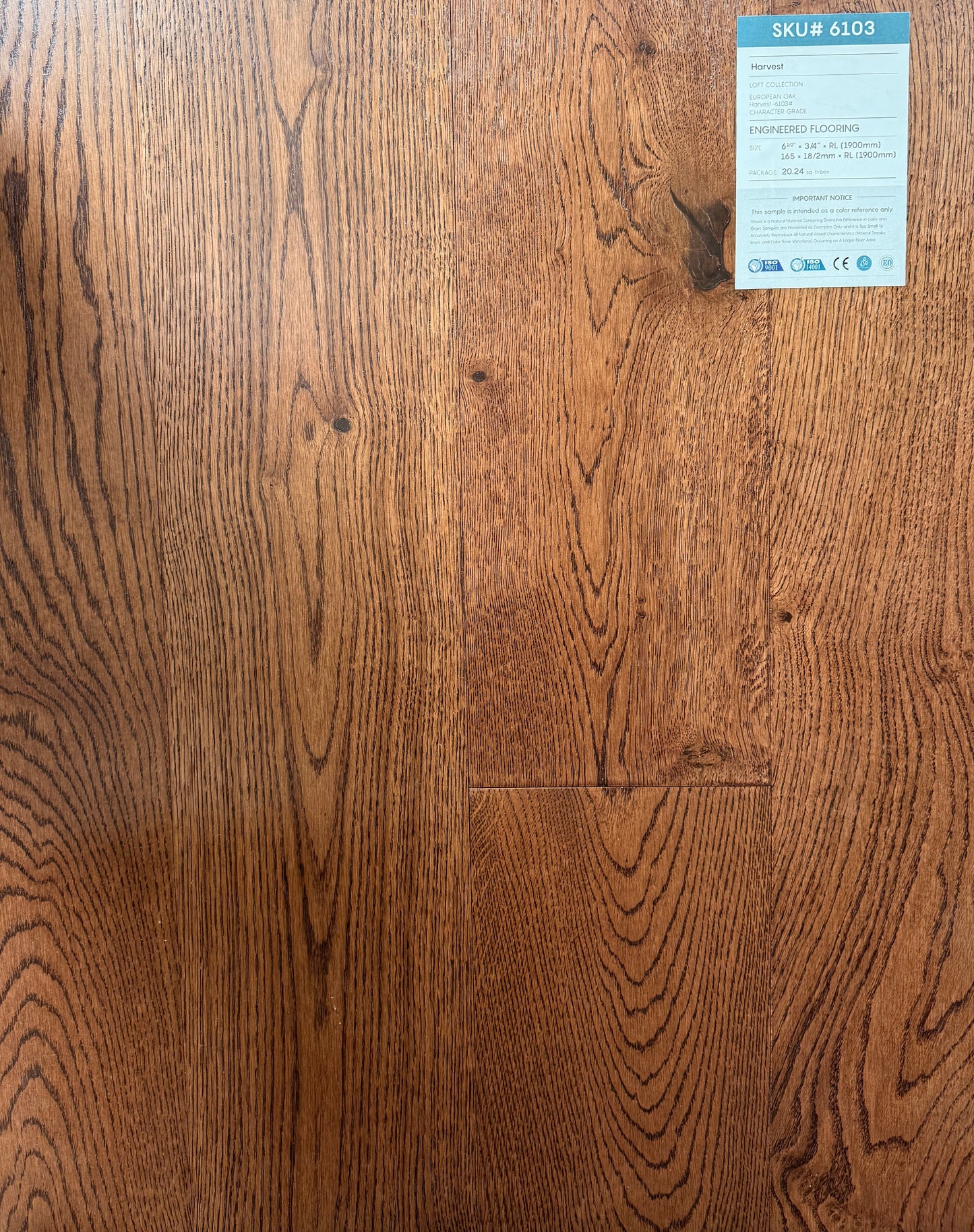 Top Floorings European Oak Engineered – Harvest (6.5" Wide) – Detail View