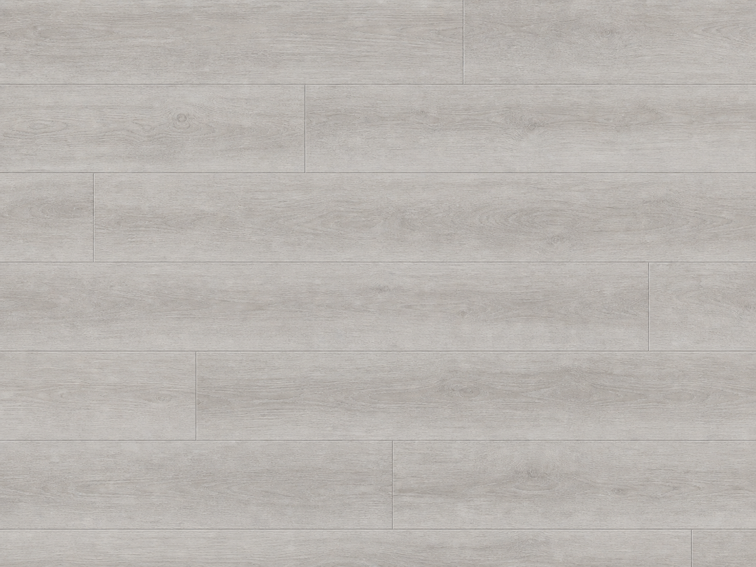 Riche Arctic Birch SPC vinyl plank in a cool pale grey wood-look finish