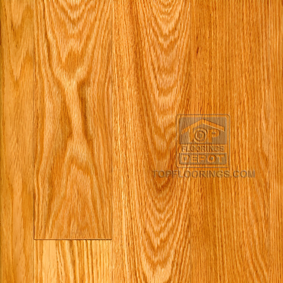 Top Floorings Red Oak Solid Hardwood Flooring | 3¼" Wide