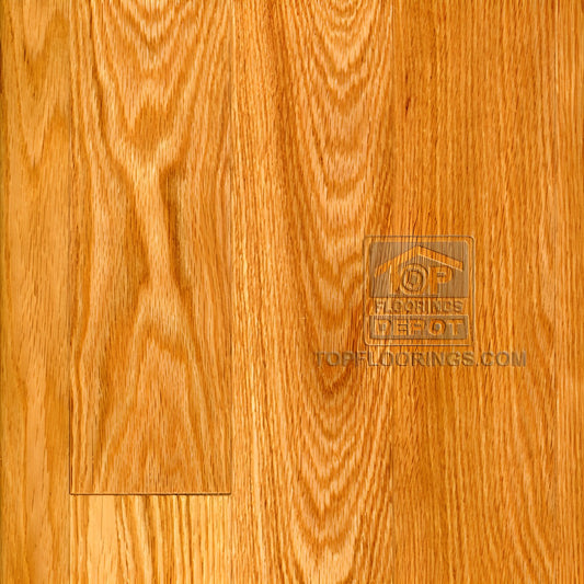 Top Floorings Red Oak Solid Hardwood Flooring | 3¼" Wide