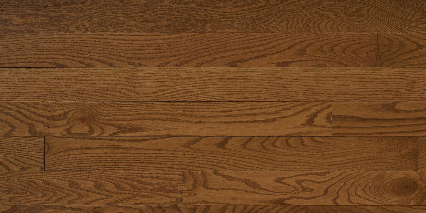 Appalachian Gunstock Red Oak Hardwood Flooring | 4¼" Prestige Grade Semi Gloss | Solid Wood – Main View