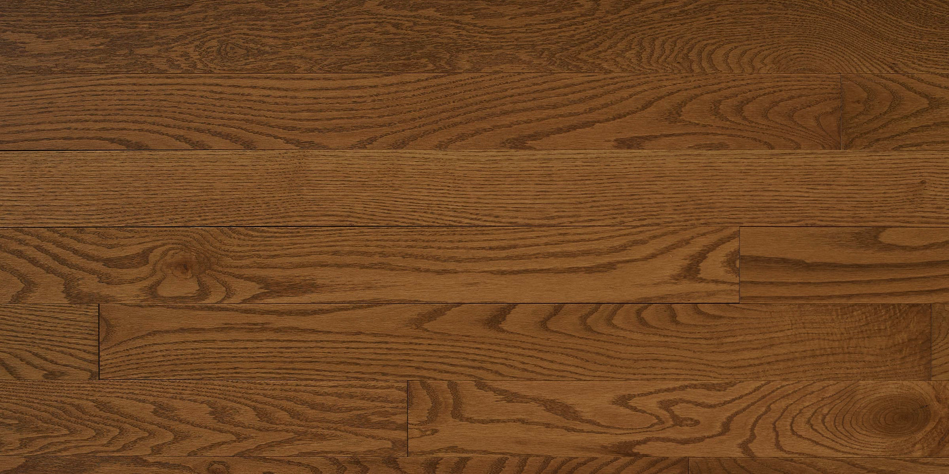 Appalachian Gunstock Red Oak Hardwood Flooring | 4¼" Prestige Grade Semi Gloss | Solid Wood – Main View