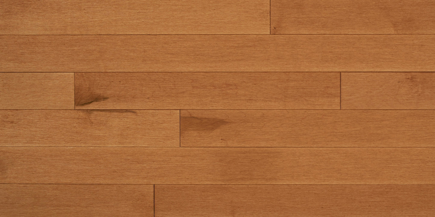 Appalachian Toffee Hard Maple Hardwood Flooring | 4¼" Prestige Grade Semi Gloss | Solid Wood – Main View