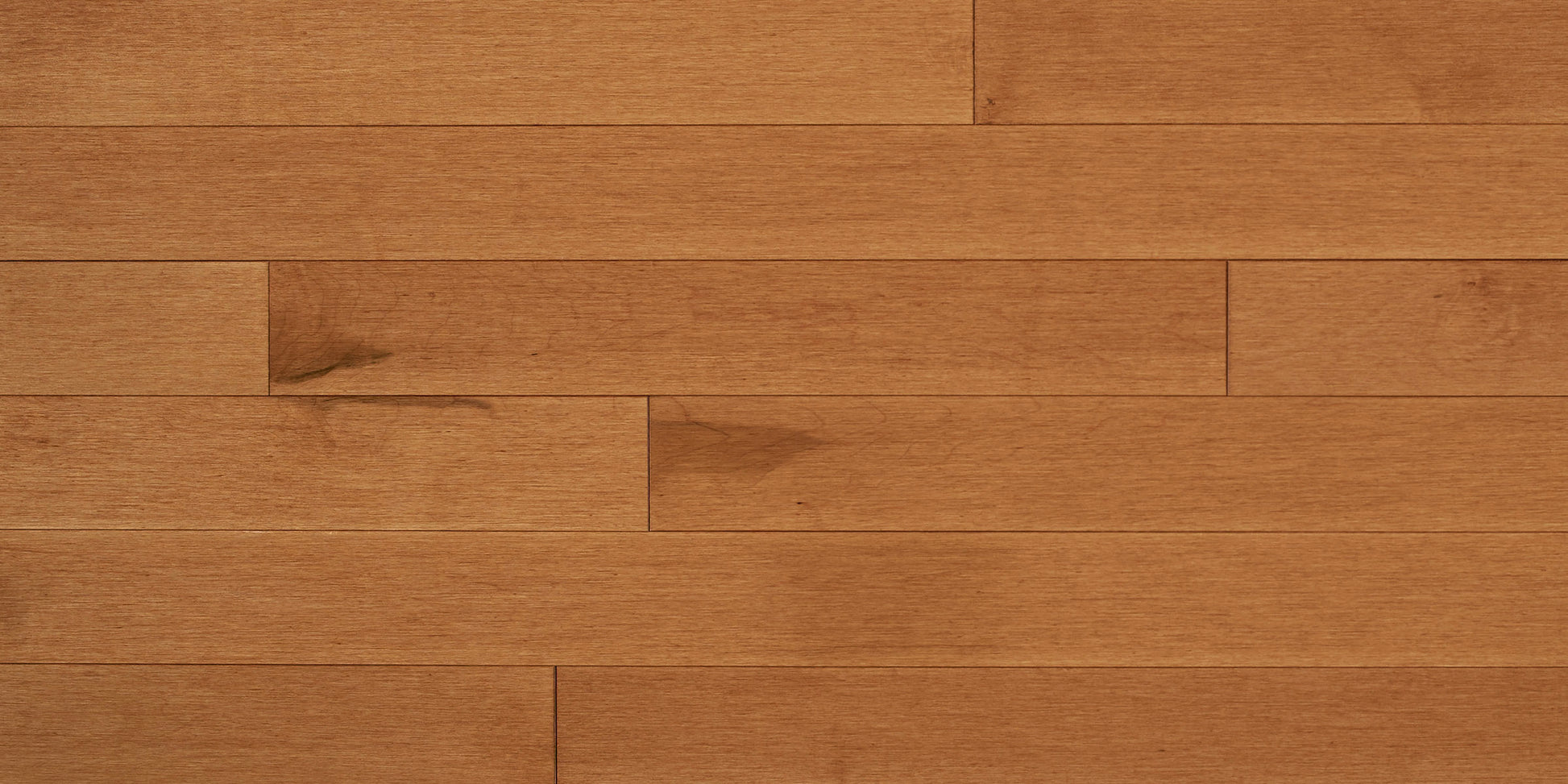 Appalachian Toffee Hard Maple Hardwood Flooring | 4¼" Prestige Grade Semi Gloss | Solid Wood – Main View
