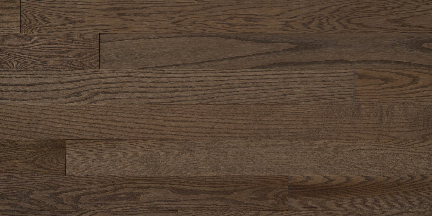 Appalachian Latte Red Oak Hardwood Flooring | 4¼" Prestige Grade Semi Gloss | Solid Wood – Main View