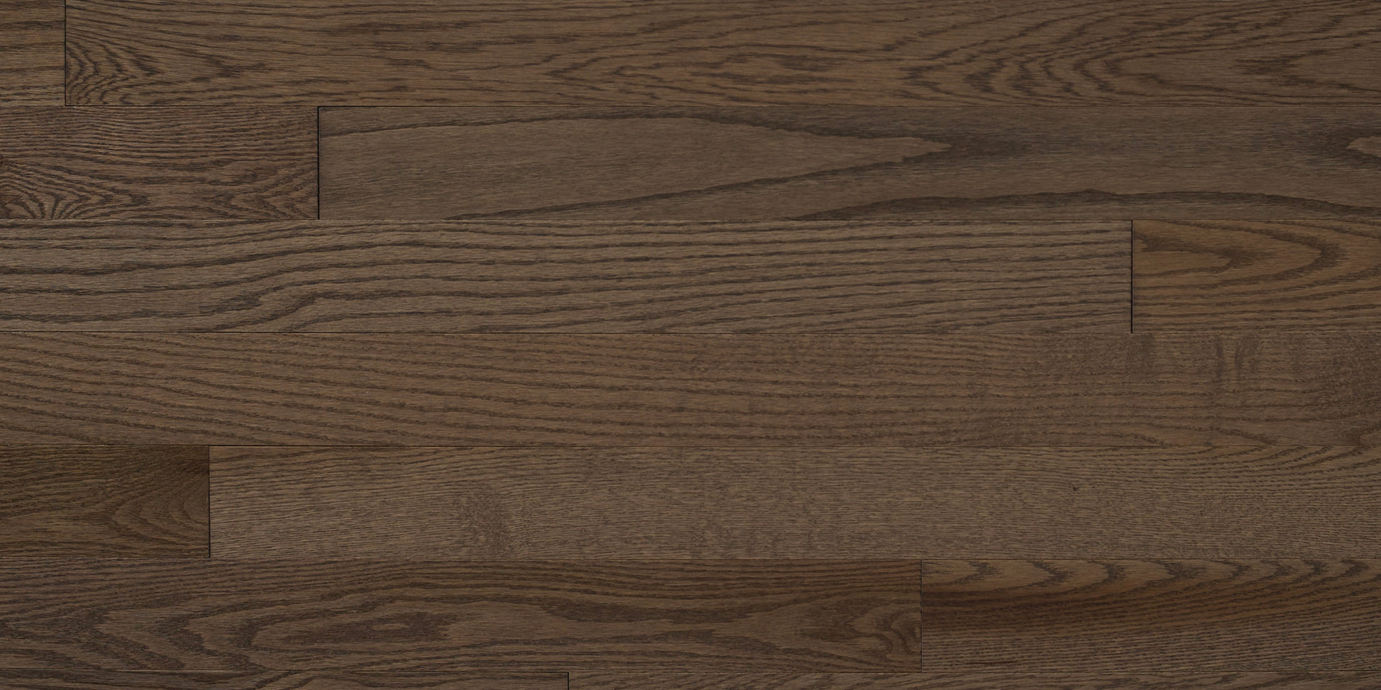 Appalachian Latte Red Oak Hardwood Flooring | 4¼" Prestige Grade Semi Gloss | Solid Wood – Main View