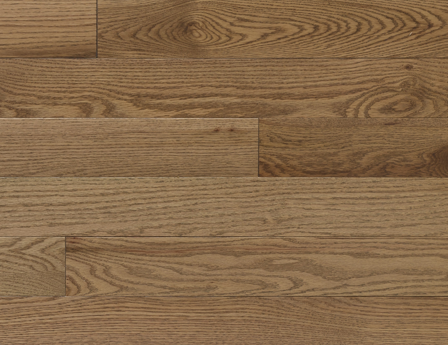 Appalachian Sable Red Oak Hardwood Flooring | 4¼" Prestige Grade Semi Gloss | Solid Wood – Main View