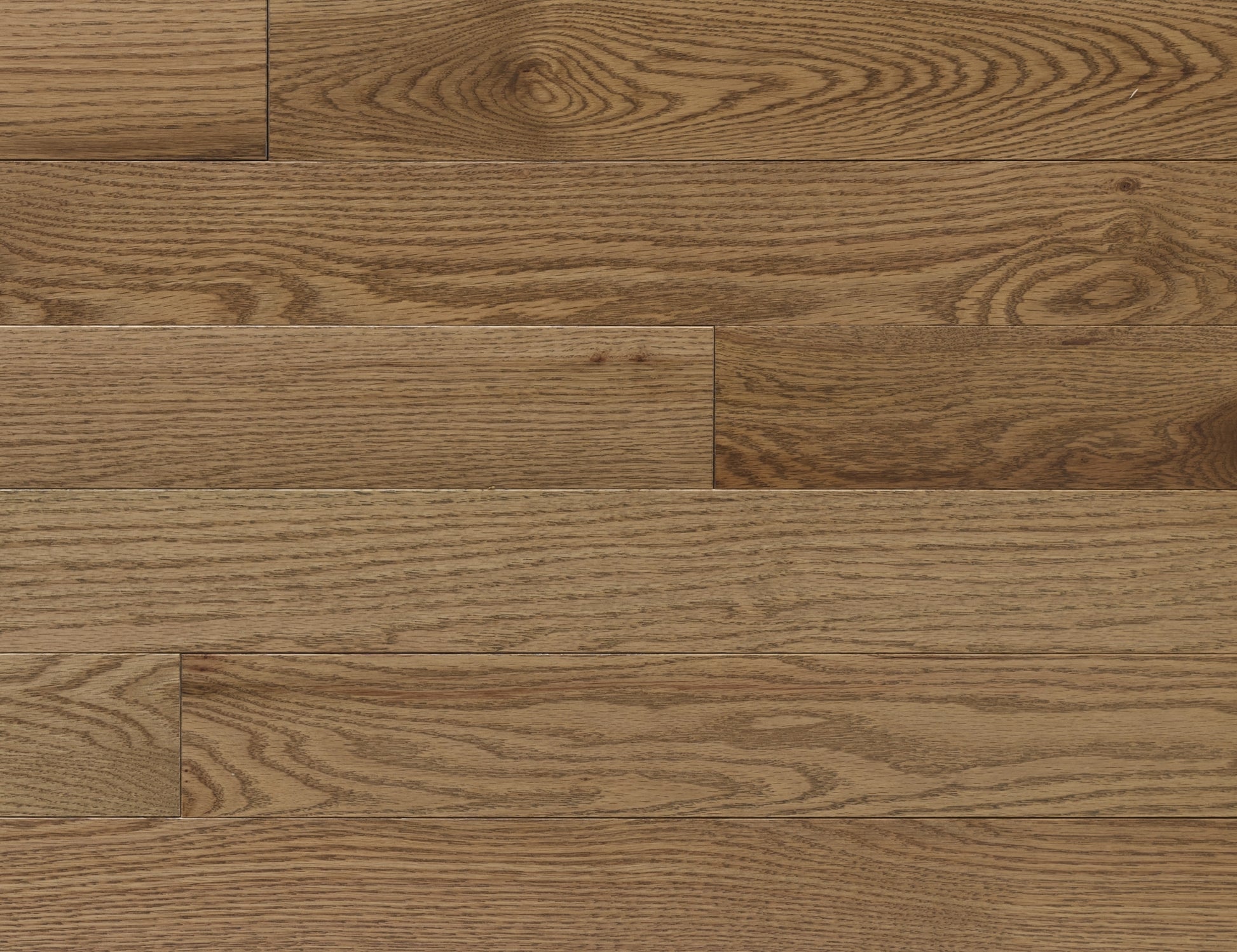 Appalachian Sable Red Oak Hardwood Flooring | 4¼" Prestige Grade Semi Gloss | Solid Wood – Main View