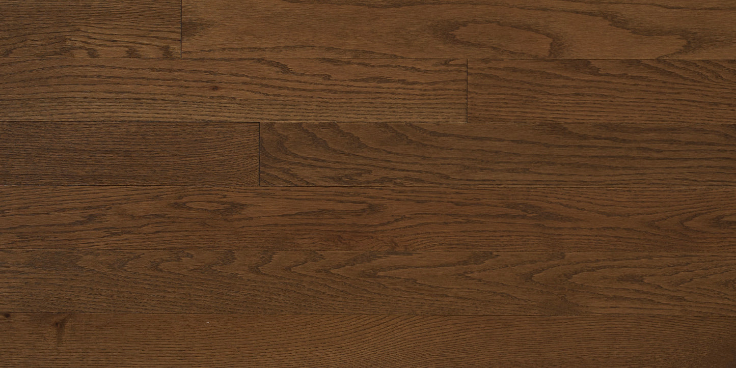 Appalachian Treebark Red Oak Hardwood Flooring | 4¼" Prestige Grade Semi Gloss | Solid Wood – Main View