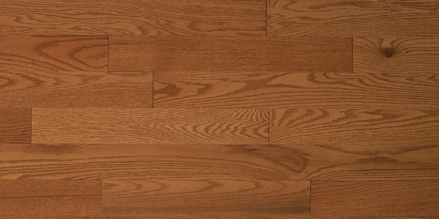 Appalachian Honey Red Oak Hardwood Flooring | 4¼" Prestige Grade Semi Gloss | Solid Wood – Main View