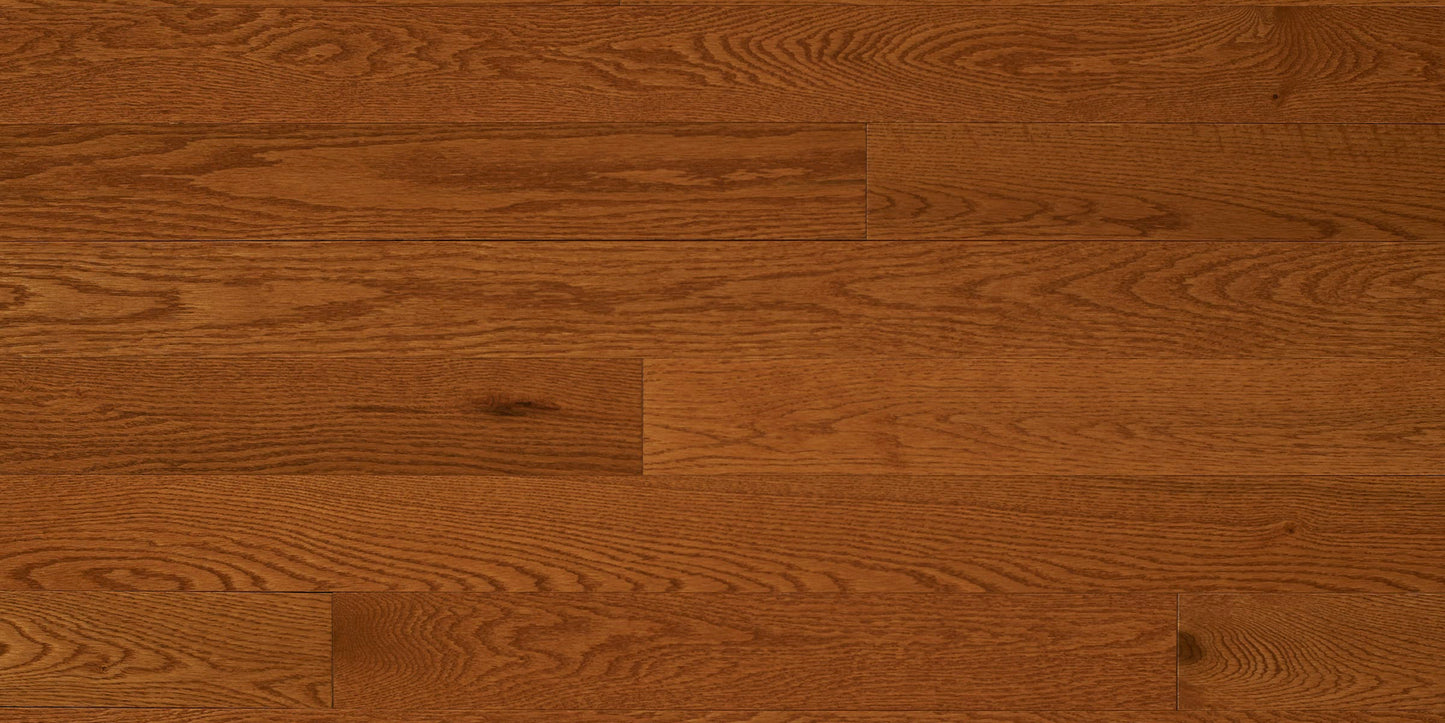 Appalachian Auburn Red Oak Hardwood Flooring | 4¼" Prestige Grade Semi Gloss | Solid Wood – Main View