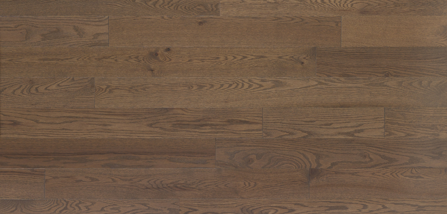 Appalachian Safari Red Oak Hardwood Flooring | 4¼" Prestige Grade Semi Gloss | Solid Wood – Main View