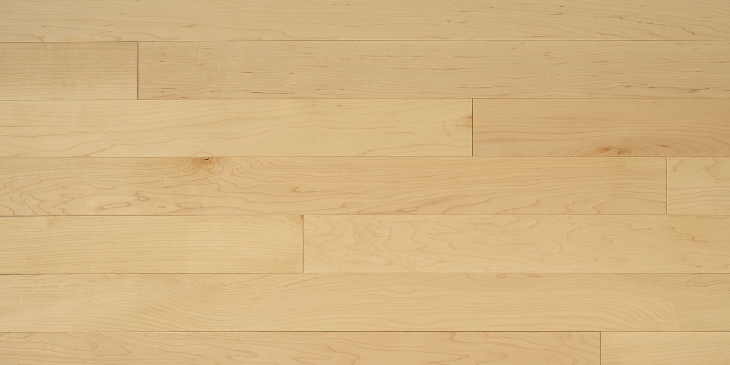 Appalachian Natural Hard Maple Hardwood Flooring | 4¼" Prestige Grade Semi Gloss | Solid Wood – Main View