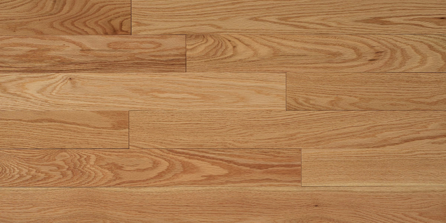 Appalachian Natural Red Oak Hardwood Flooring | 4¼" Excel Grade Semi Gloss | Solid Wood – Main View