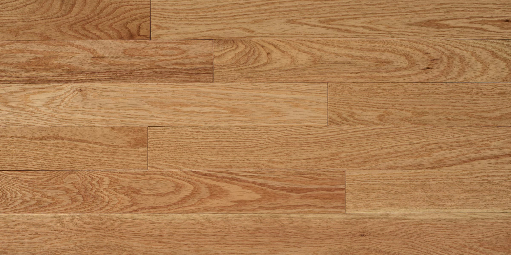 Appalachian Natural Red Oak Hardwood Flooring | 4¼" Excel Grade Semi Gloss | Solid Wood – Main View