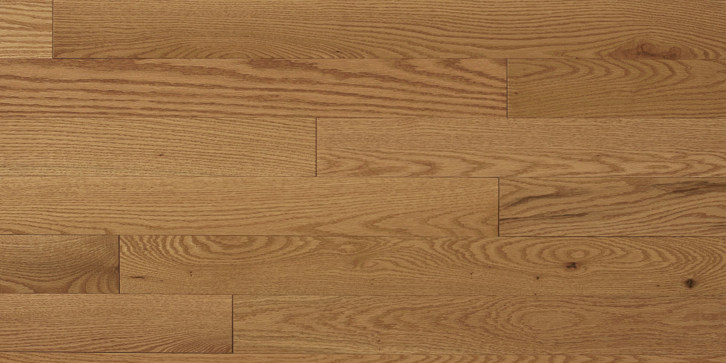 Appalachian Amaretto Red Oak Hardwood Flooring | 4¼" Excel Grade Semi Gloss | Solid Wood – Main View