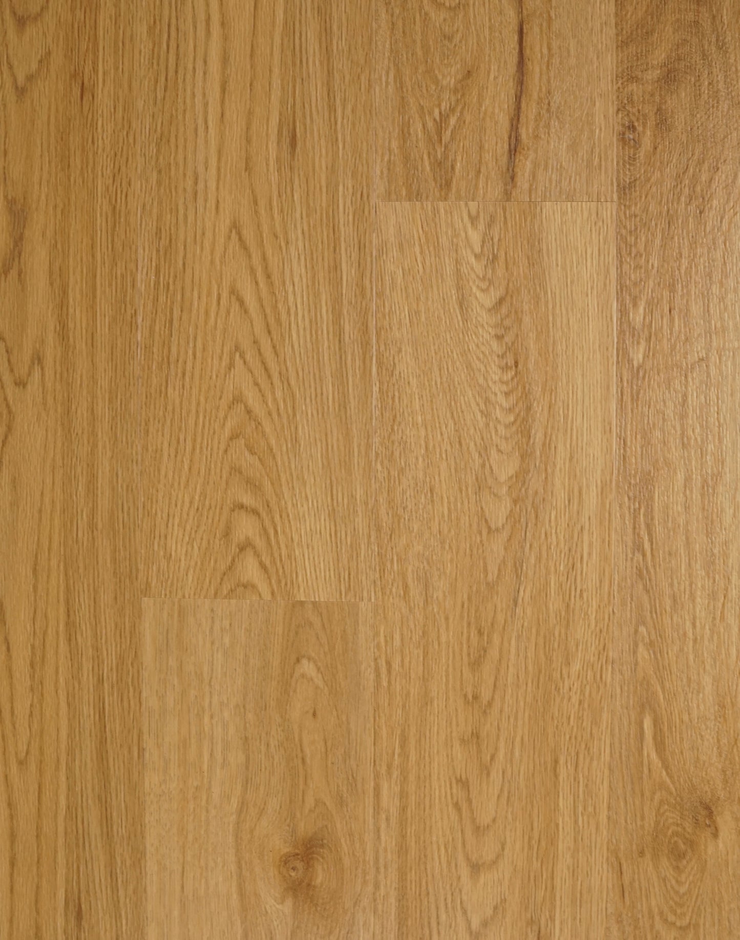 Riche Flooring Montreal Collection 8mm SPC Vinyl Plank Flooring – Westmount Cream (5.9" Plank)