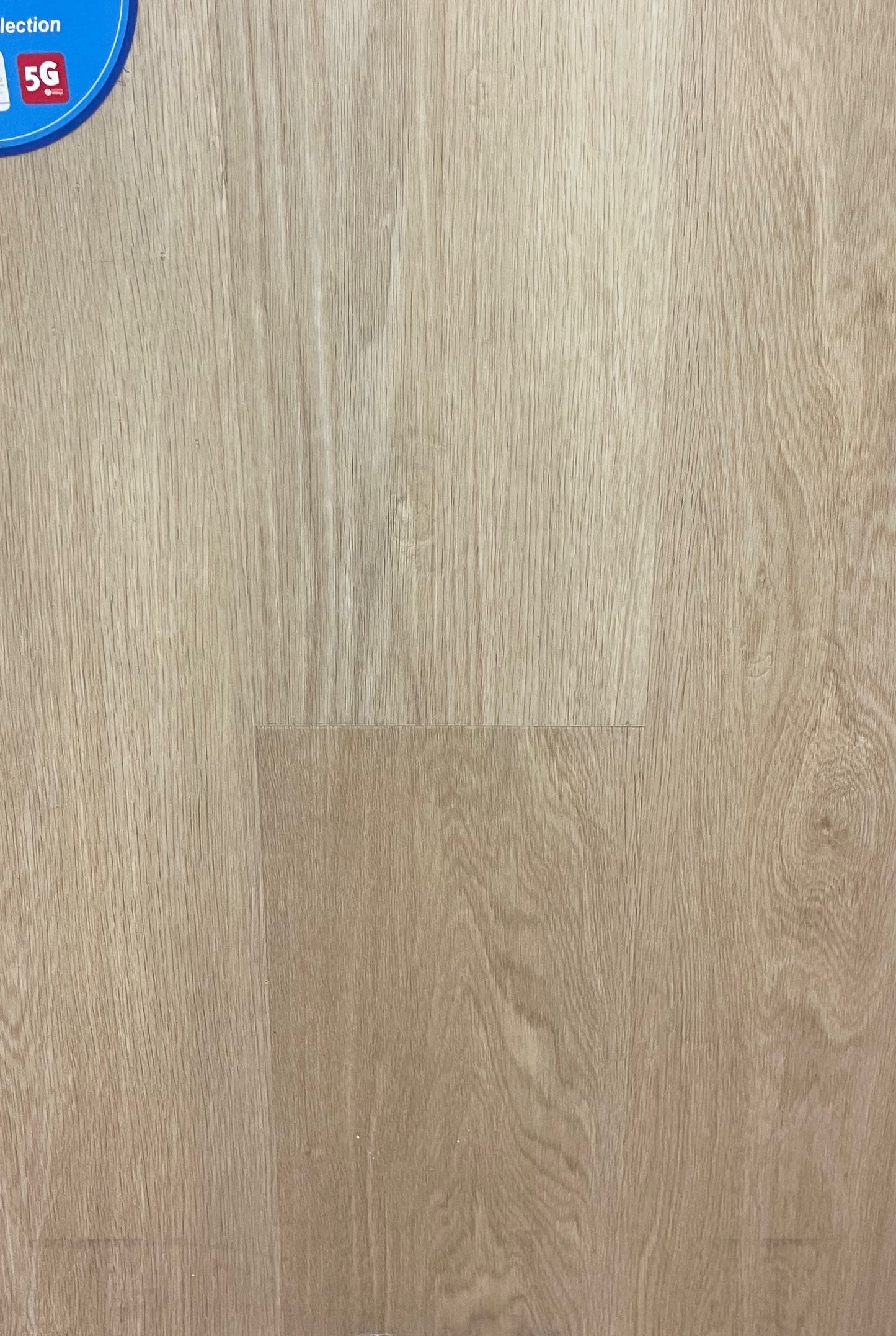 Riche Flooring Ultra-Thick 10mm SPC Vinyl – Morning Birch (20mil Wear Layer) – Main View