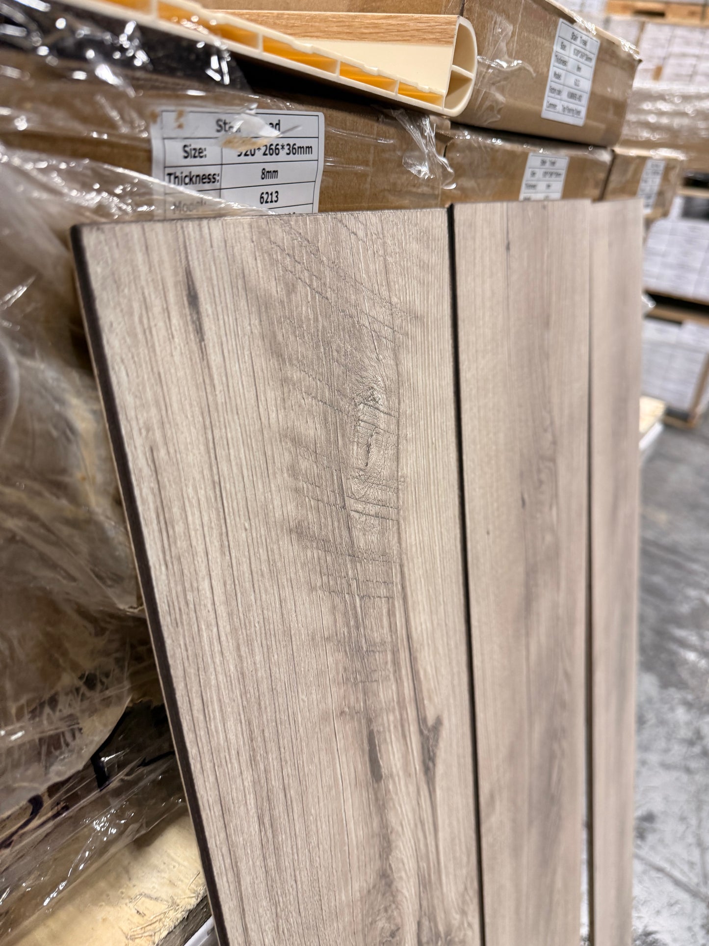 Swiss Krono 10mm Beige Laminate Flooring - AC5 Commercial Grade - Made in Germany (M1002) – Close-Up