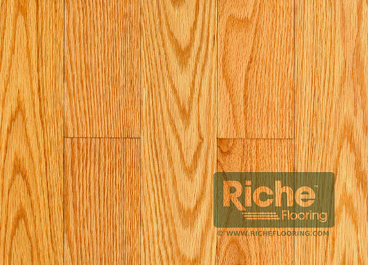 Top Floorings Red Oak Natural Solid Hardwood Flooring | 3¼" x ¾" | Select & Better